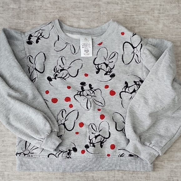Disney Other - Disney Gray and Red Hoodie with Minnie Art